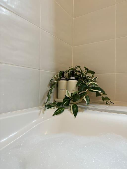 Jungle Suite - Moderne & Spacieux Annecy Exterior photo